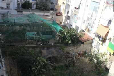 Giardini, pozzi e voliere: tra i palazzi di Madonnella c'� una "campagna" nascosta